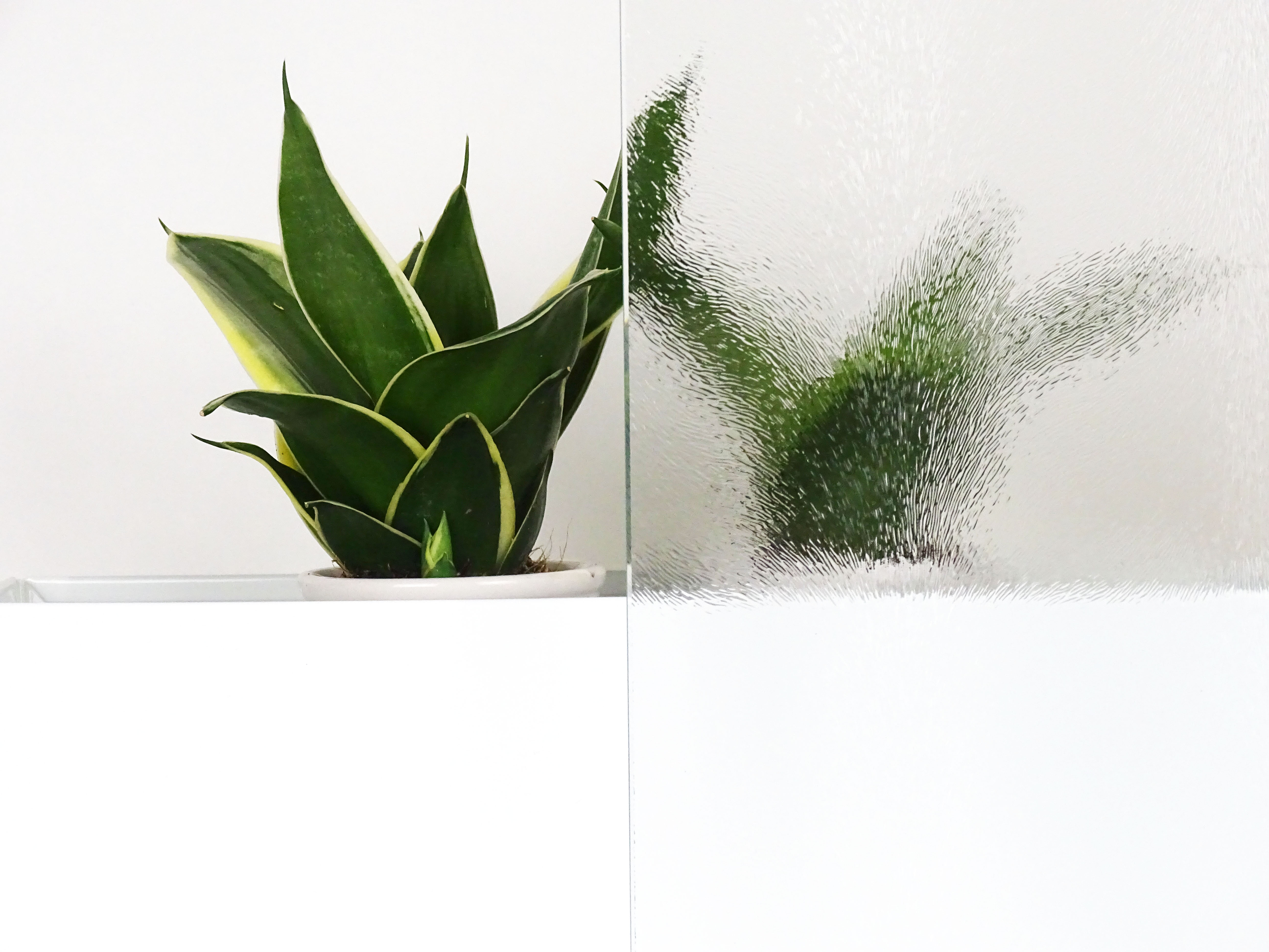 Ornamentglas nach Maß – dekoratives Ornamentglas für vielfältige Einsatzmöglichkeiten von Meitinger Glas